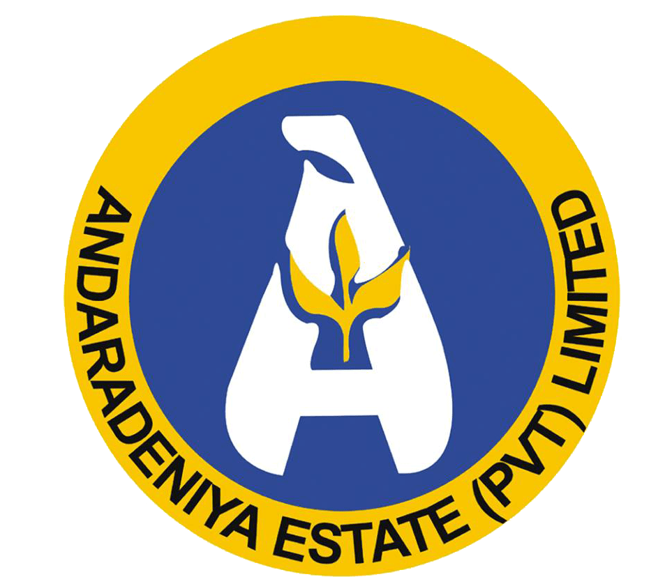 Andaradeniya Tea Factory
